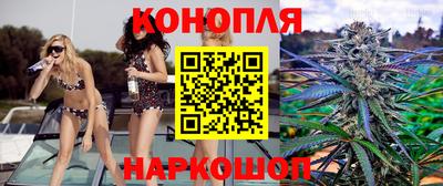 прущий лед Новозыбков