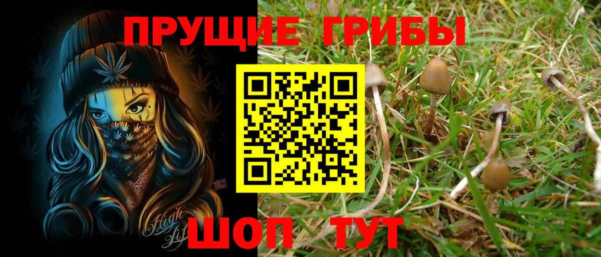 Псилоцибиновые грибы мицелий Соль-Илецк