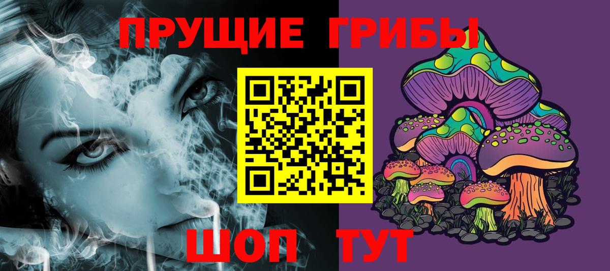 Галлюциногенные грибы Psilocybine cubensis  как найти   Вход с VPN  Соль-Илецк  Псилоцибиновые грибы Psilocybe 